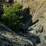 Katafygio-oiti *