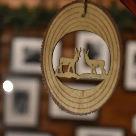 Lodge Katafygio-oiti Pavliani