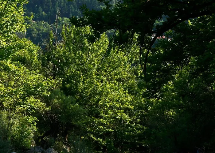 Katafygio-oiti Lodge Παύλιανη